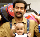 Prithviraj Kangaroo movie photo